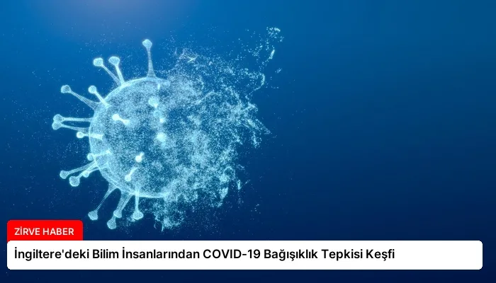 İngiltere’deki Bilim İnsanlarından COVID-19 Bağışıklık Tepkisi Keşfi