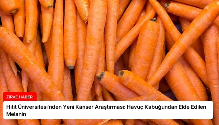 Hitit Üniversitesi’nden Yeni Kanser Araştırması: Havuç Kabuğundan Elde Edilen Melanin