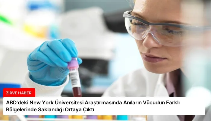 ABD’deki New York Üniversitesi Araştırmasında Anıların Vücudun Farklı Bölgelerinde Saklandığı Ortaya Çıktı