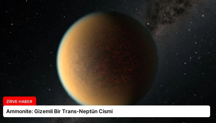 Ammonite: Gizemli Bir Trans-Neptün Cismi