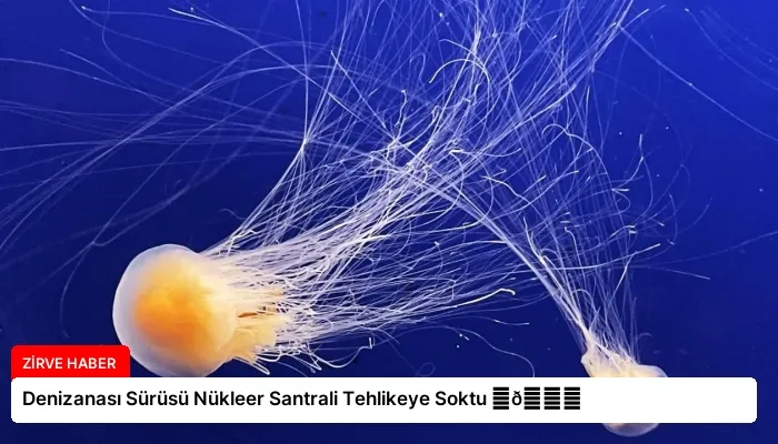 Denizanası Sürüsü Nükleer Santrali Tehlikeye Soktu ⏬👇