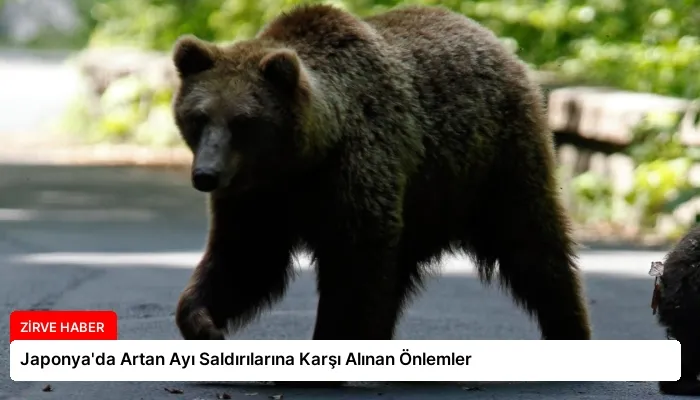 Japonya’da Artan Ayı Saldırılarına Karşı Alınan Önlemler