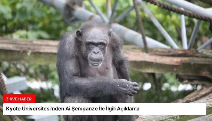 Kyoto Üniversitesi’nden Ai Şempanze İle İlgili Açıklama