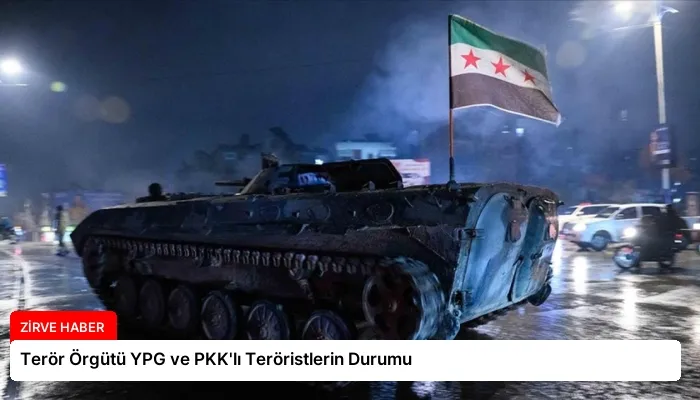 Terör Örgütü YPG ve PKK’lı Teröristlerin Durumu