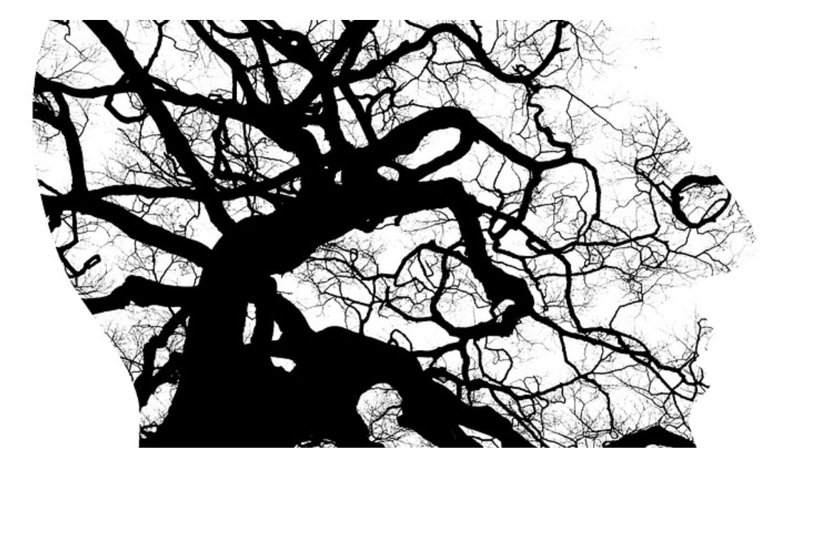 Başakşehir Psikolog – Ruh Sağlığınız İçin Profesyonel Destek