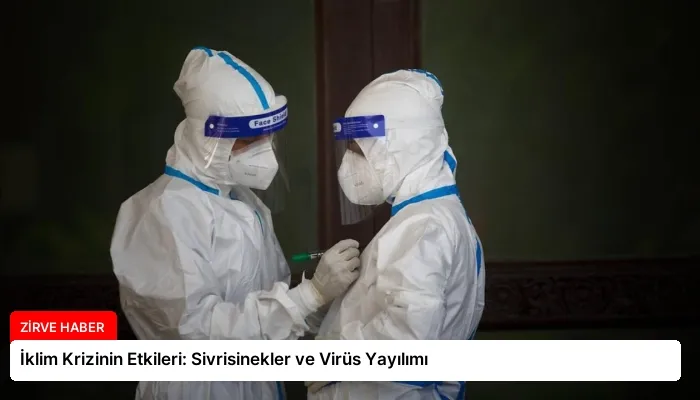 İklim Krizinin Etkileri: Sivrisinekler ve Virüs Yayılımı