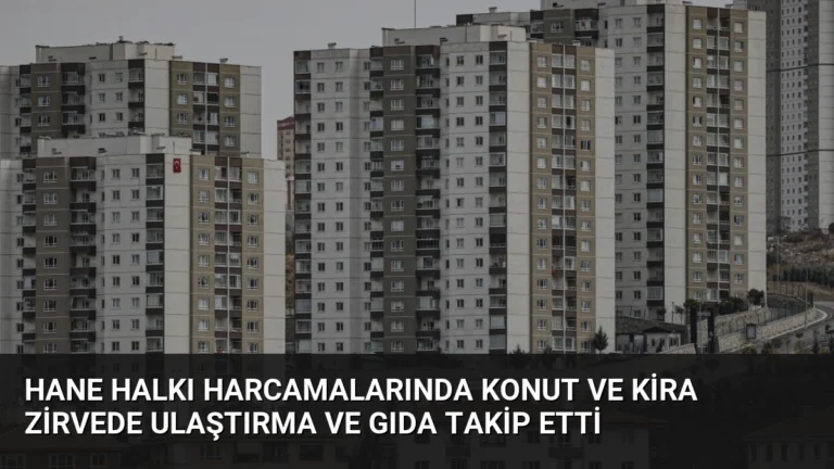 Hane Halkı Harcamalarında Konut ve Kira Zirvede Ulaştırma ve Gıda Takip Etti