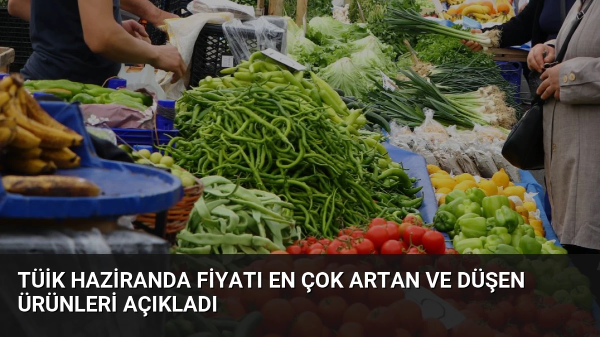 TÜİK Haziranda Fiyatı En Çok Artan ve Düşen Ürünleri Açıkladı