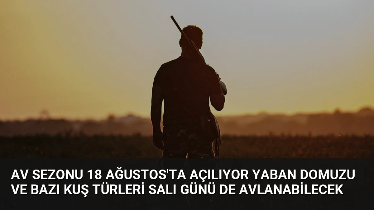 Av Sezonu 18 Ağustos’ta Açılıyor Yaban Domuzu ve Bazı Kuş Türleri Salı Günü de Avlanabilecek