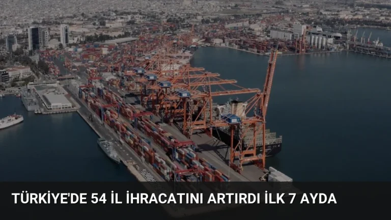 Türkiye’de 54 il ihracatını artırdı ilk 7 ayda