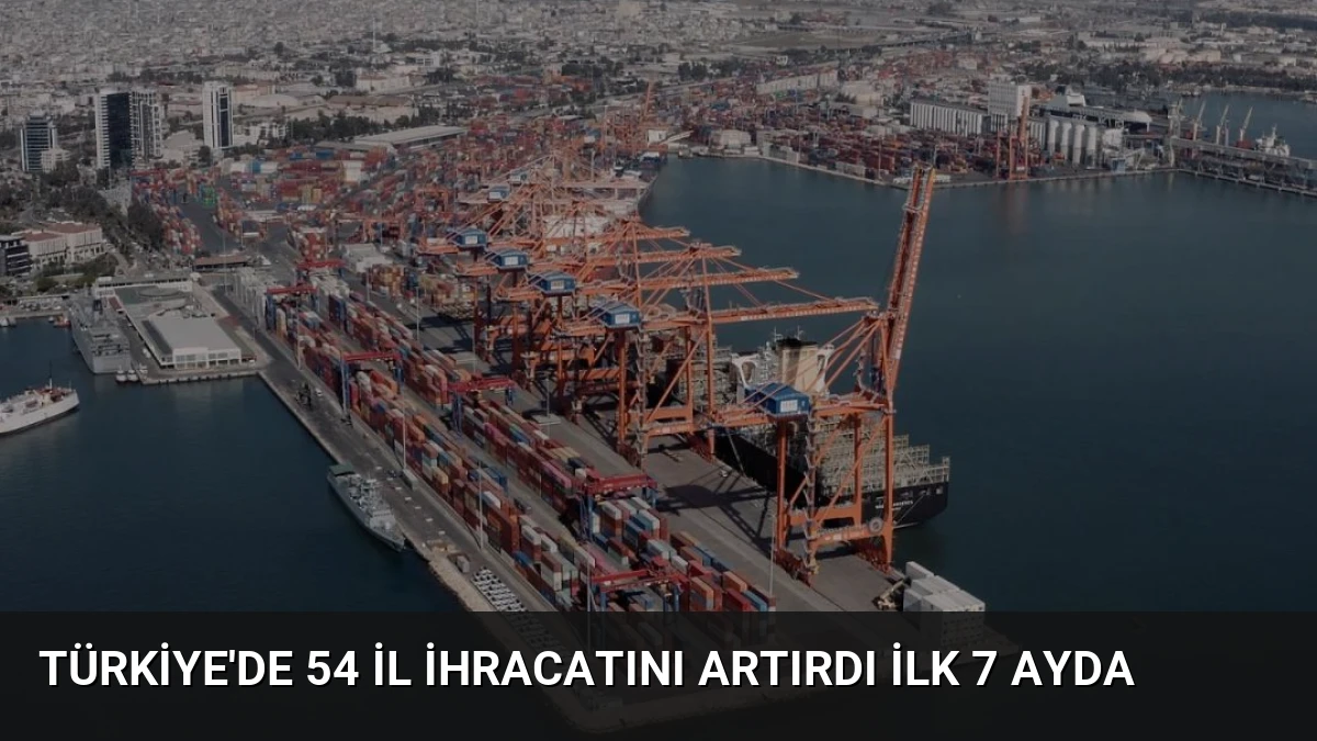 Türkiye’de 54 il ihracatını artırdı ilk 7 ayda