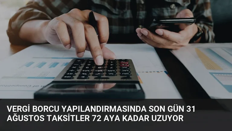 Vergi Borcu Yapılandırmasında Son Gün 31 Ağustos Taksitler 72 Aya Kadar Uzuyor
