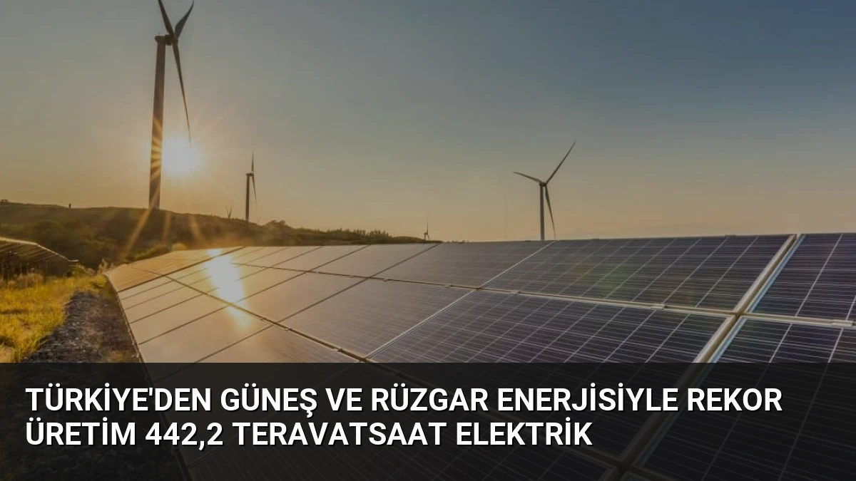 Türkiye’den Güneş ve Rüzgar Enerjisiyle Rekor Üretim 442,2 Teravatsaat Elektrik