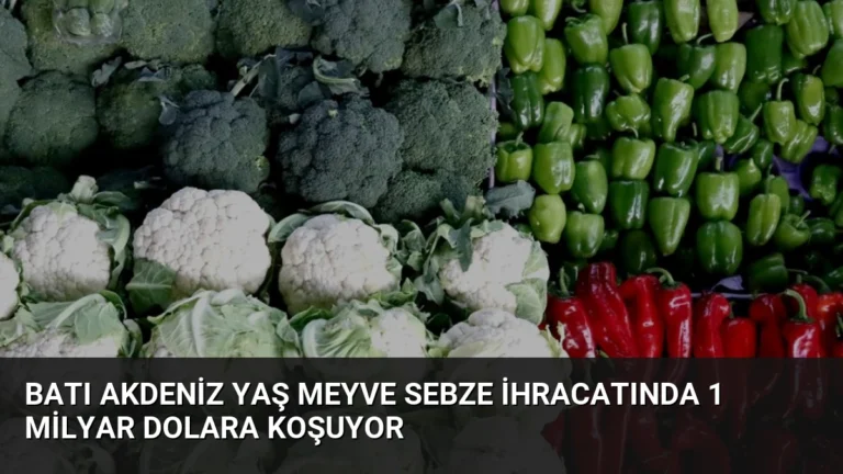 Batı Akdeniz Yaş Meyve Sebze İhracatında 1 Milyar Dolara Koşuyor