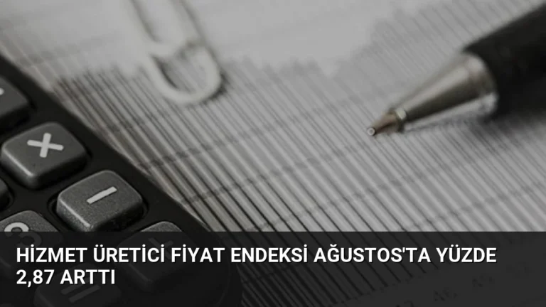 Hizmet Üretici Fiyat Endeksi Ağustos’ta Yüzde 2,87 Arttı
