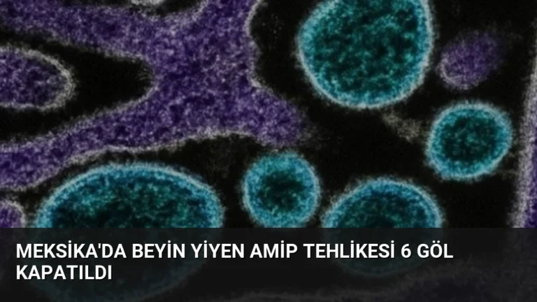 Meksika’da Beyin Yiyen Amip Tehlikesi 6 Göl Kapatıldı